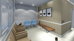 FELINA VETERINÁRIA