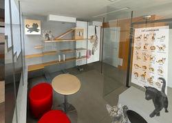 CAT CAFÉ